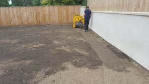Lovely Lawn During 2