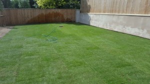 Lovely Lawn Finish